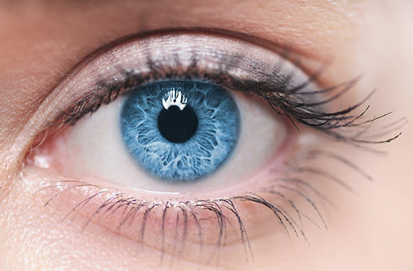Close Up Blue Eye